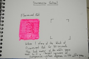 Successive Contrast - Flourescent Pink